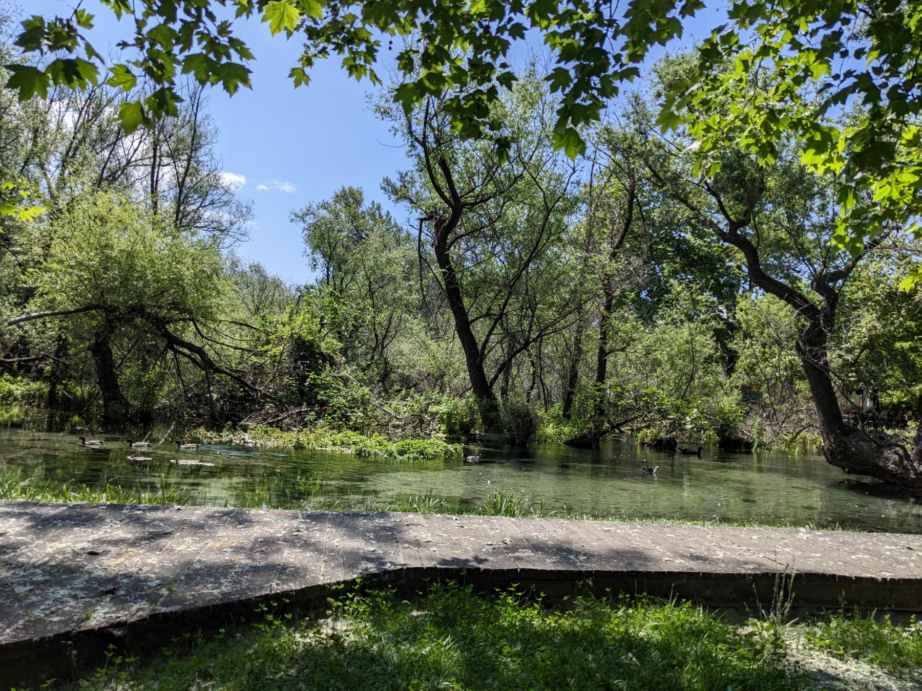 Read more about the article Τι είναι τα παιδιά για εσένα;