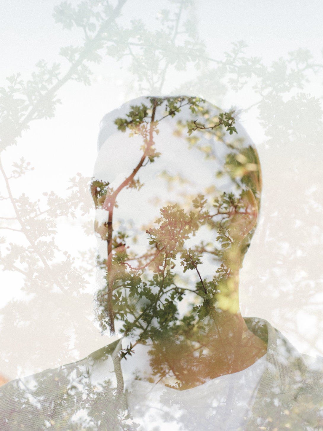 You are currently viewing νους…